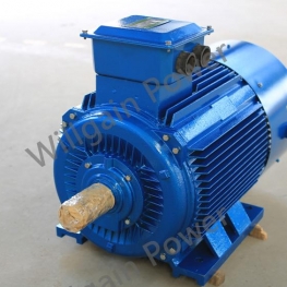 10kw 100kw 1MW Permanent Magnet Alternator, Low Rpm Pma Pmg